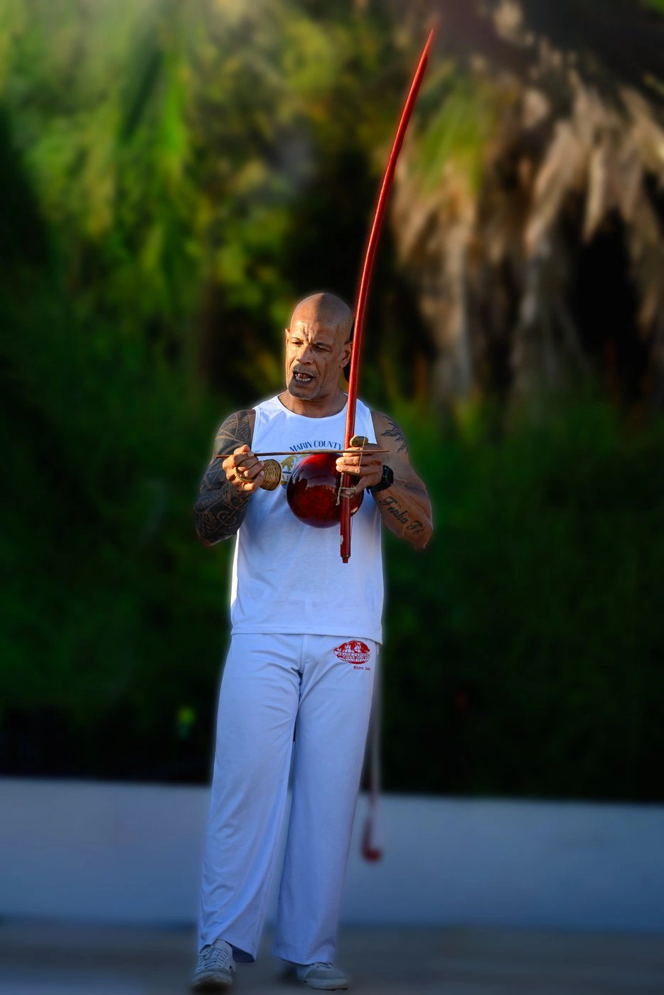 Aprender capoeira — imagem do arquivo 5R